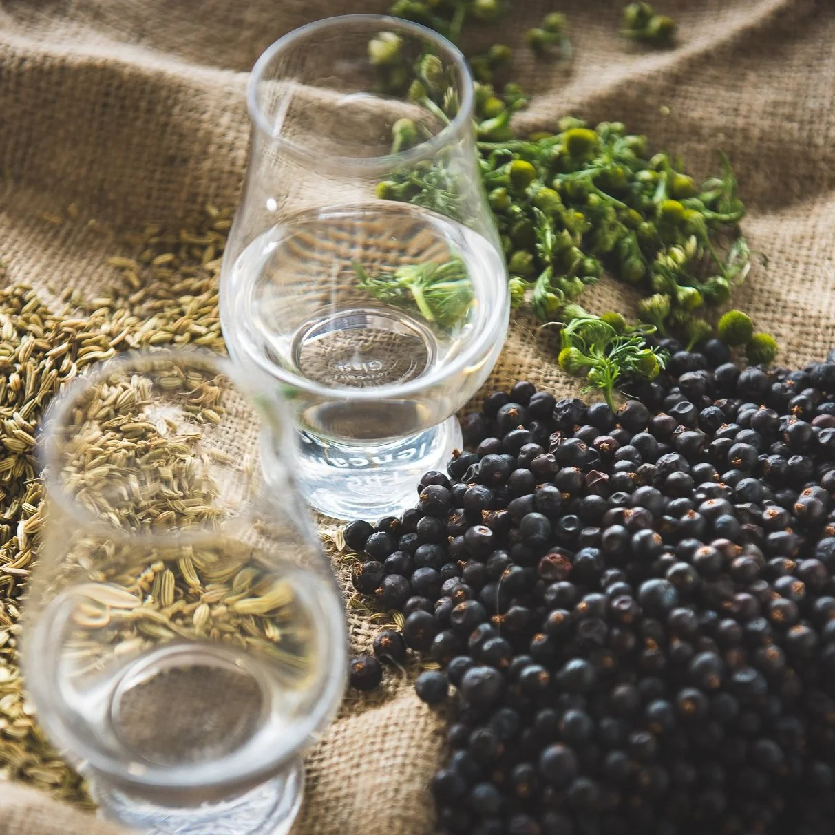 Rick Stein Gin by Tarquin's - Image 5