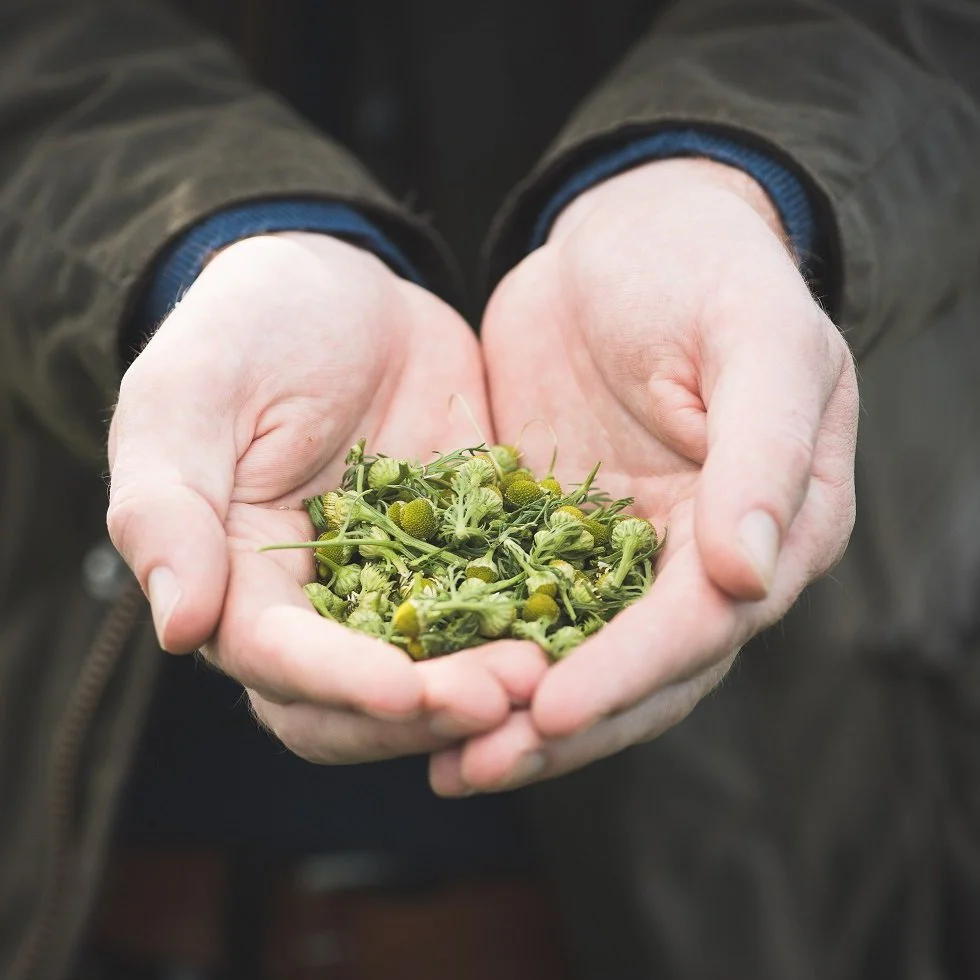 Rick Stein Gin by Tarquin's - Image 7